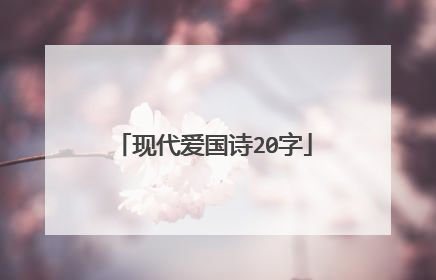 现代爱国诗20字