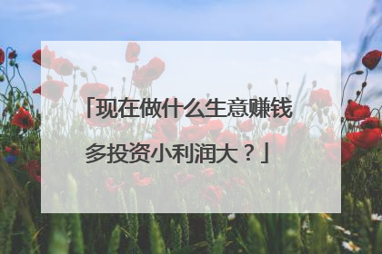 现在做什么生意赚钱多投资小利润大?