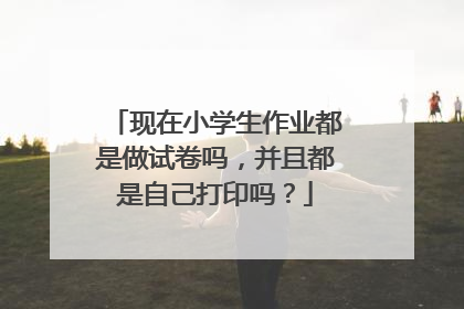 现在小学生作业都是做试卷吗，并且都是自己打印吗？