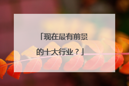 现在最有前景的十大行业？