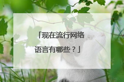 现在流行网络语言有哪些？