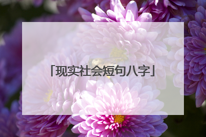 现实社会短句八字
