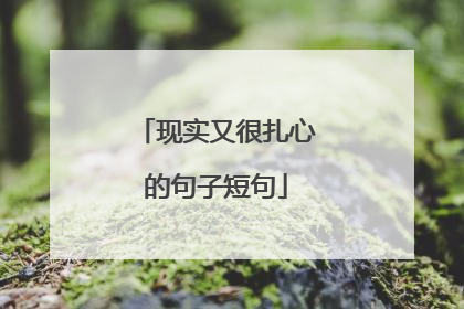 现实又很扎心的句子短句