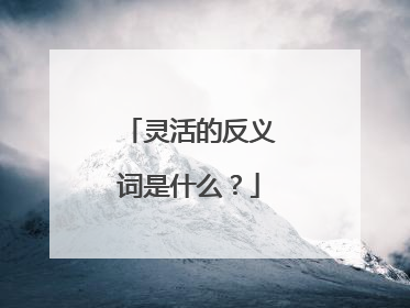 灵活的反义词是什么?