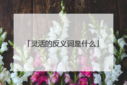 灵活的反义词是什么