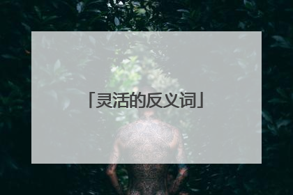 灵活的反义词