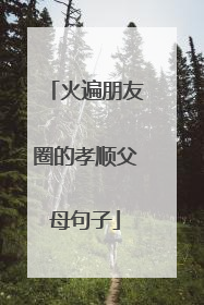 火遍朋友圈的孝顺父母句子