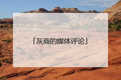 灰商的媒体评论