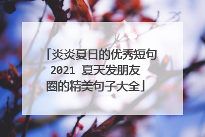 炎炎夏日的优秀短句2021 夏天发朋友圈的精美句子大全