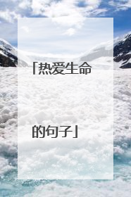 热爱生命的句子