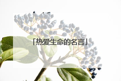 热爱生命的名言