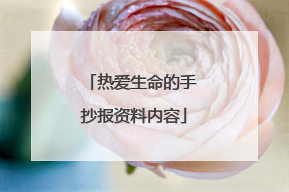 热爱生命的手抄报资料内容