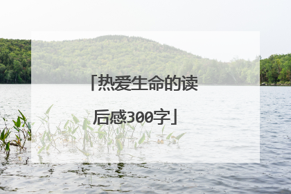 热爱生命的读后感300字