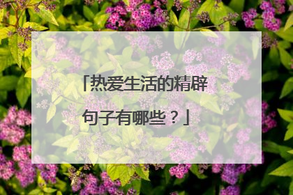 热爱生活的精辟句子有哪些?