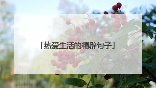 热爱生活的精辟句子