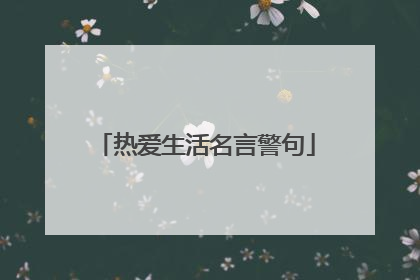 热爱生活名言警句