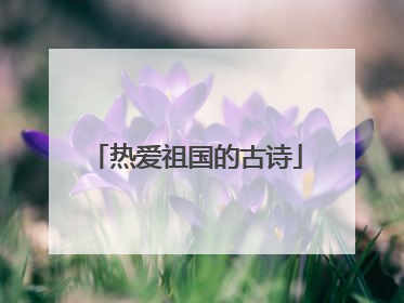 热爱祖国的古诗