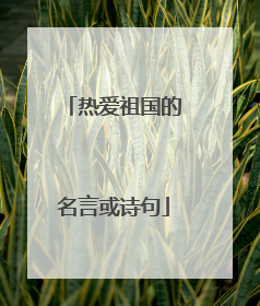热爱祖国的名言或诗句