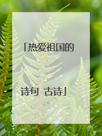 热爱祖国的诗句 古诗
