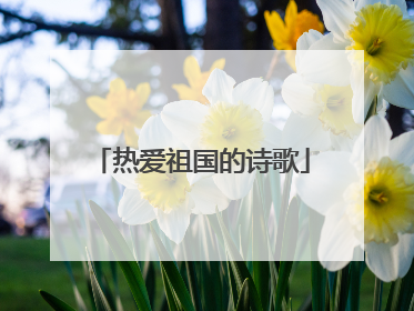 热爱祖国的诗歌