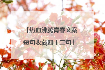 热血沸腾青春文案短句收藏四十二句
