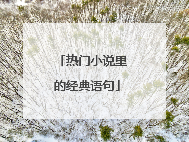 热门小说里的经典语句