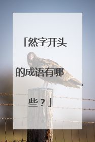 然字开头的成语有哪些?