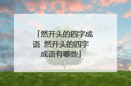然开头的四字成语 然开头的四字成语有哪些