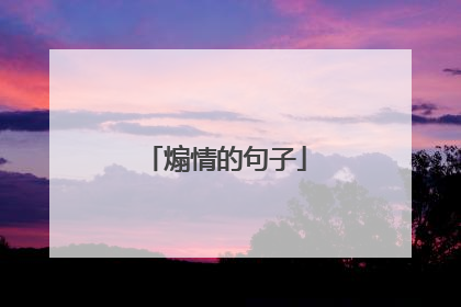 煽情的句子