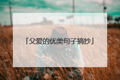 父爱的优美句子摘抄