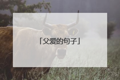 父爱的句子