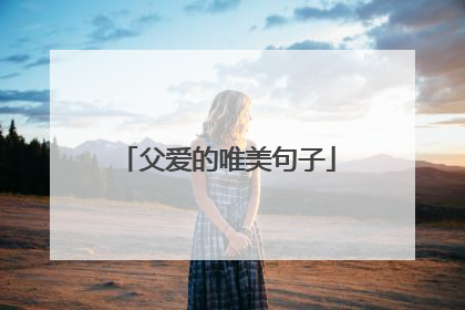 父爱的唯美句子