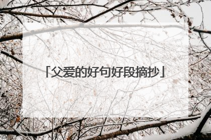 父爱的好句好段摘抄