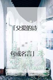 父爱的诗句或名言