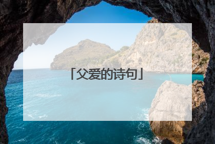 父爱的诗句
