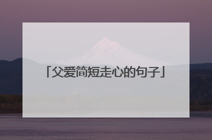 父爱简短走心的句子