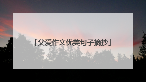 父爱作文优美句子摘抄