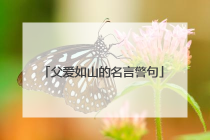 父爱如山的名言警句