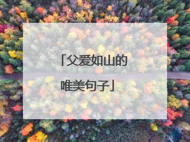 父爱如山的唯美句子