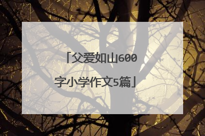 父爱如山600字小学作文5篇