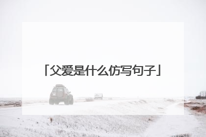 父爱是什么仿写句子