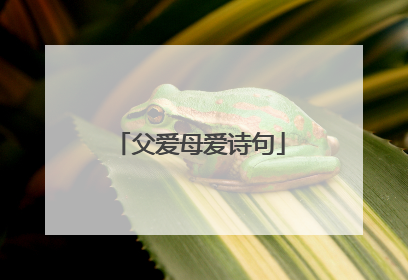 父爱母爱诗句