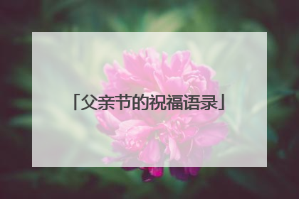父亲节的祝福语录