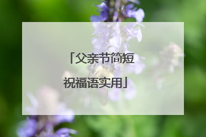 父亲节简短祝福语实用