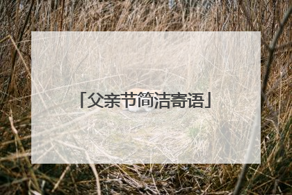父亲节简洁寄语