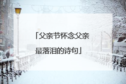父亲节怀念父亲最落泪的诗句