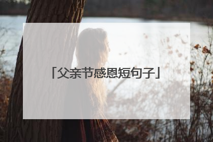 父亲节感恩短句子