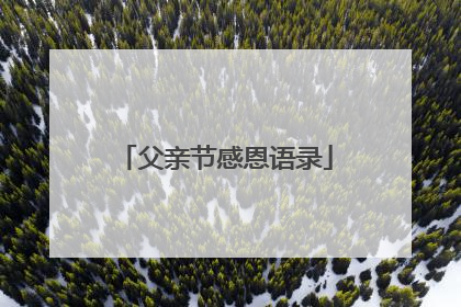 父亲节感恩语录