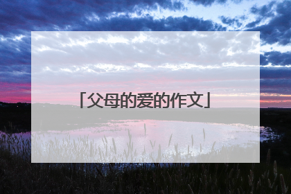 父母的爱的作文