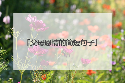 父母恩情的简短句子